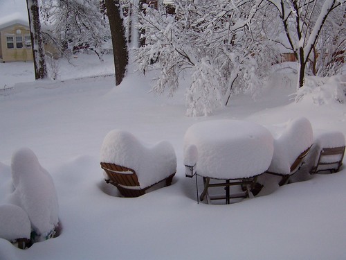 Backyard in snow