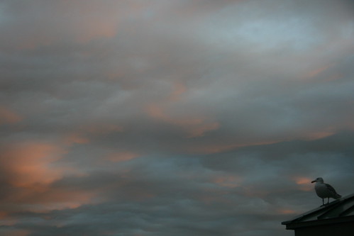 2010-03-02 Sunset 057