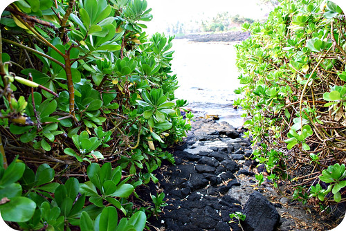 path to the ocean/snorkeling
