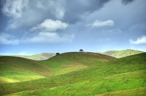 フリー写真素材|自然・風景|丘|アメリカ合衆国|HDR|