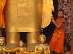 Buddhist Novice in Luang Prabang 2