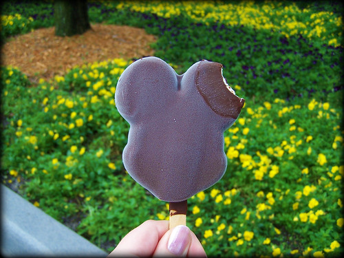 Mickey Mouse Ice Cream Bar Disney World