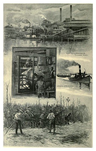 019-Industria azucarera en el rio Richmond Nueva Gales del Sur-Australasia illustrated (1892)- Andrew Garran