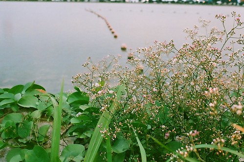 Pandan Reservoir