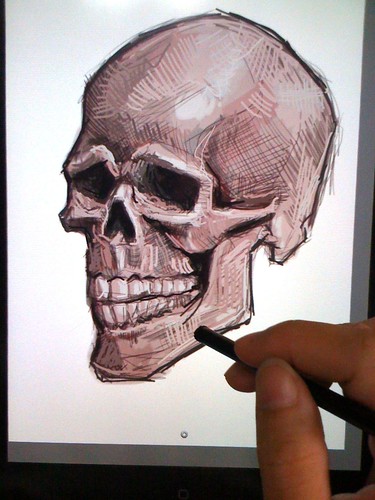 live sketching of skull on iPad Sketchbook Pro