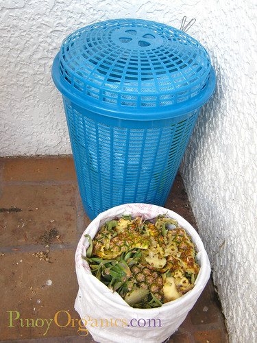 urban composting 2
