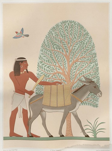Histoire de l'art égyptien by Prisse D'Avennes, 1878 e