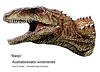 090706-02-new-dinosaur-teeth-Banjo_Australovenator wintonensis