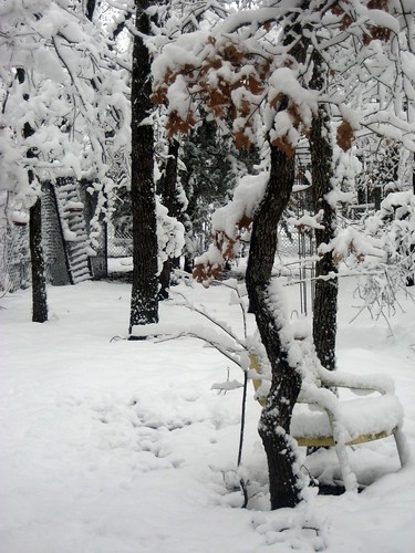 2010February12_Snow 003