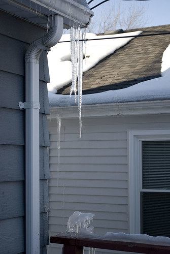 backyard winter icicle