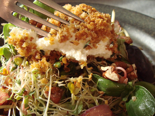Warm Baked Goat Cheese & Sprouts: Gooey Cheese