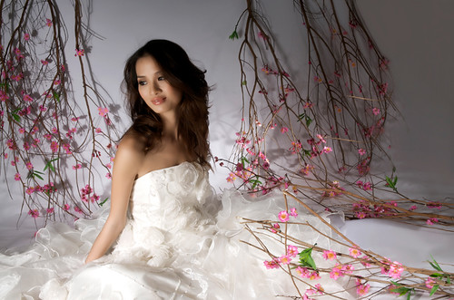 Asian Women And The Wedding Gown Dress