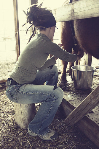 Did I Tell You I Milked A Cow?