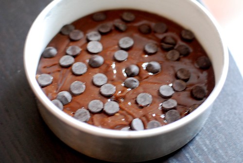 Extremely Chocolate-y Brownies