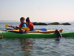DofE Sea Kayaking, Anglesey