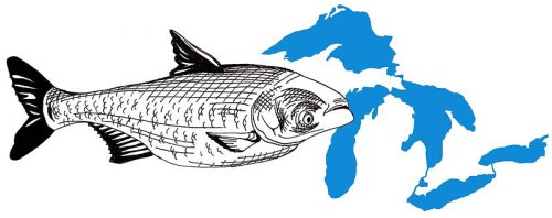 Asian carp invade Great Lakes