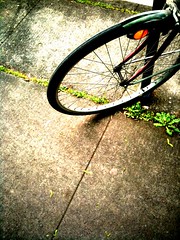 Daily iPhone photos: spokes on a Sunday morning