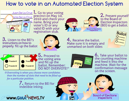 how to vote 2010 elections