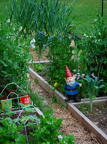 garden gnome 2