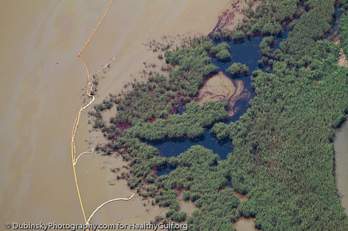BP's Oil in Louisiana's Birds Foot Delta, May 2010