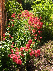 The Garden at Red House