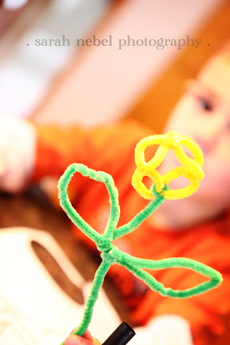 . pipe cleaner crafts .