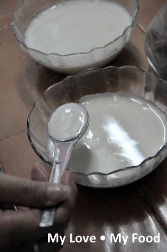 2010_01_01 Home Made Milk Pudding 030a