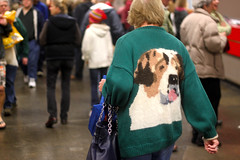 Golden Gate Kennel Club Dog Show