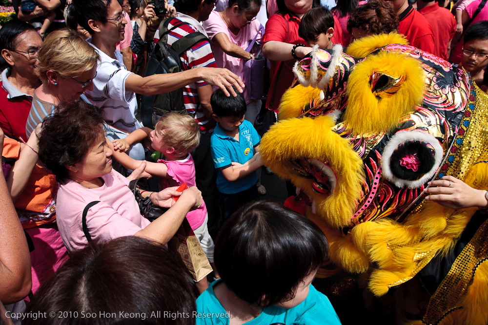 Lion Dancing in the Crowd @ Pavilion, KL, Malaysia