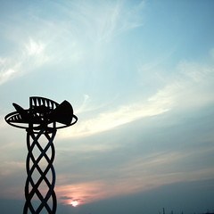 【写真】Sunset (MiniDigi)