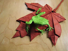 Origami Contest