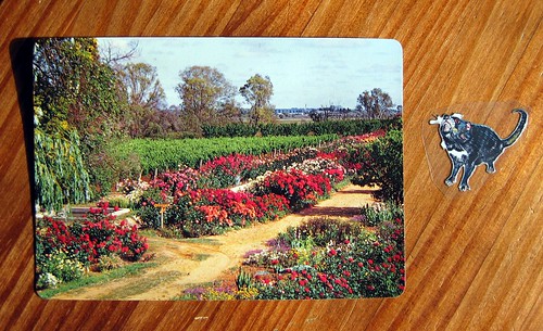 Vintage garden with Tasmanian Devil sticker
