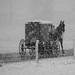 horse and buggy in the snow