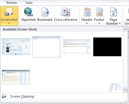 Office 2010 Screen capture