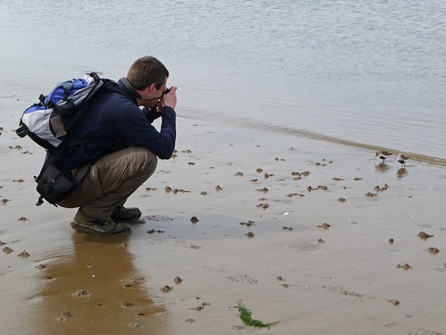 12389 - Me Photographing Dunlin