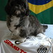 Iaia e a camisa do Santos F.C.