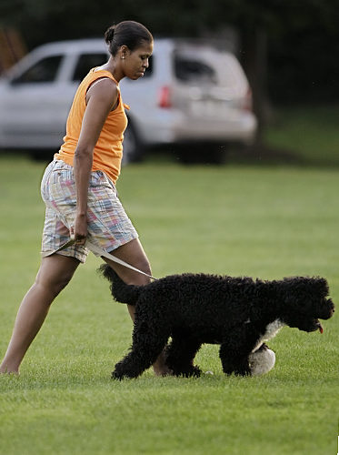 michelle obama fashion mistakes. She#39;s a fat @ss. shes