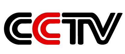CCTV中国经济年度人物