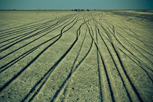 Our tracks in the Rann