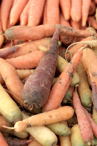 Carrots of many hues