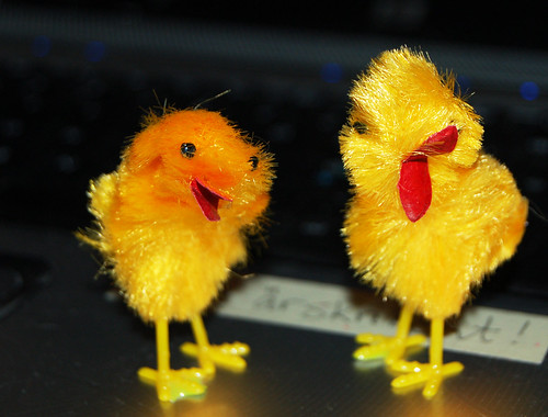Wiggly Chicks (Photo by iHanna - Hanna Andersson)