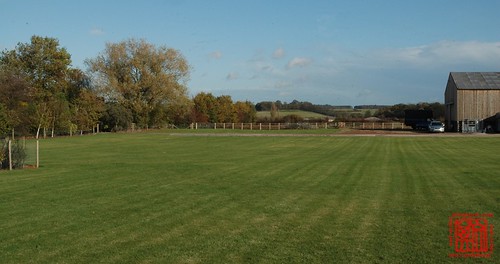 Wide green field
