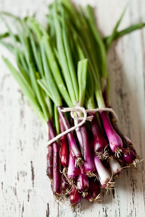 Purple Spring Onions
