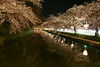 弘前城の夜桜2