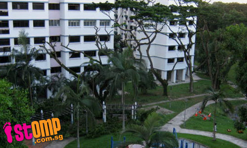 Trees that provided us with shade were cut 'botak'