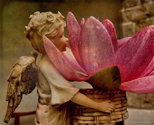 small angel carrying an enormous flower in a basket