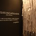 Los Pinos Negros. Inauguración de la exposición el Bosque Encapsulado de Ana Donat. Obra Social Caja Mediterrańeo