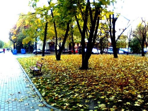 Fall...