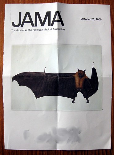 JAMA cover - batty!
