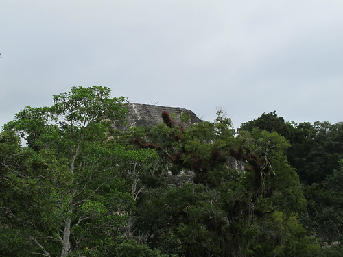 Ruins of Tikal - Guatemala